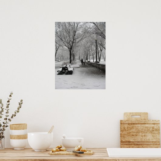 Snowfall in Montreal, Quebec Poster (Keuken)