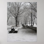 Snowfall in Montreal, Quebec Poster (Voorkant)