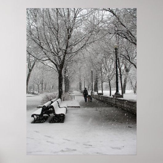 Snowfall in Montreal, Quebec Poster (Voorkant)