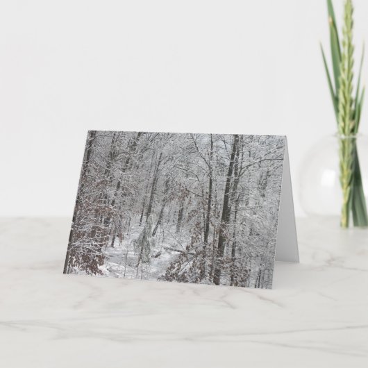 Snowfall in SC mtns Feestdagen Kaart (Voorkant)