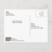 Snowfall over Finely River Blank Briefkaart (Achterkant)