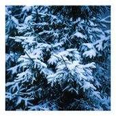 Snowfall Winter Kerstboom Foto Afdruk (Voorkant)