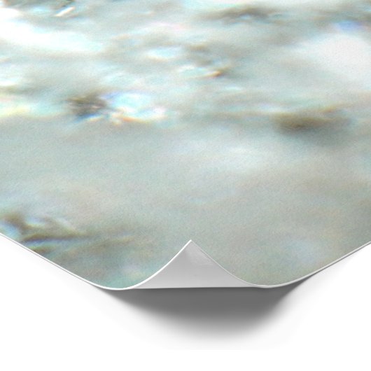 Snowflake 2009 Blizzard Poster (Hoek)