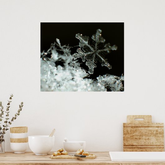 Snowflake 2009 Blizzard Poster (Keuken)