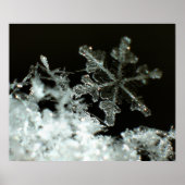 Snowflake 2009 Blizzard Poster (Voorkant)