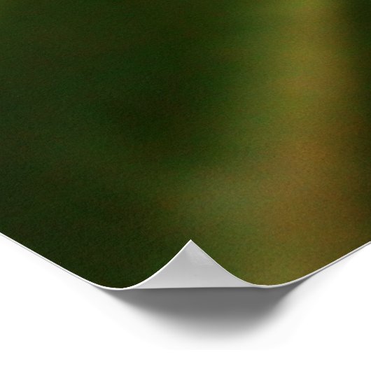 Snowflake 2009 Blizzard Poster (Hoek)