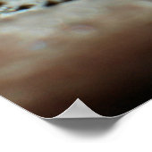 Snowflake 2009 Blizzard Poster (Hoek)