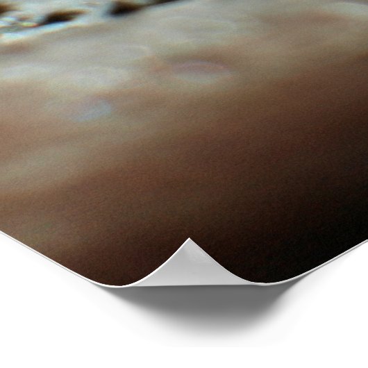 Snowflake 2009 Blizzard Poster (Hoek)