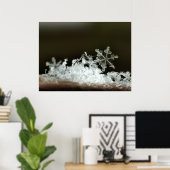 Snowflake 2009 Blizzard Poster (Thuiskantoor)