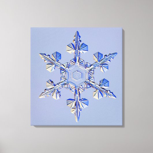 Snowflake 2 canvas afdruk (Voorkant)