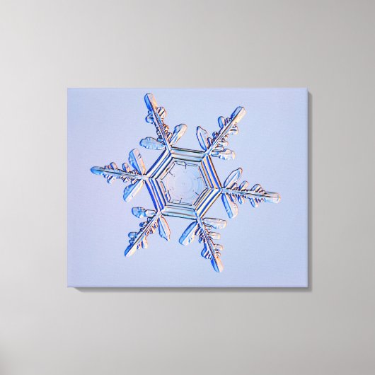Snowflake 4 canvas afdruk (Voorkant)