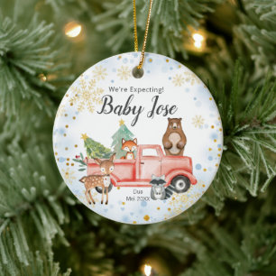 Snowflake Animal Truck We re Expecting Parents Keramisch Ornament
