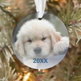 Snowflake Blue Opal Fun 2 Sided kerstfoto Ornament