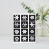 Snowflake Borden Weer Fotografie Briefkaart (Staand voorkant)