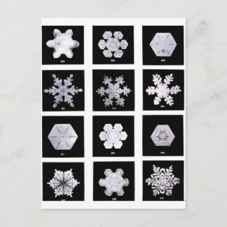 Snowflake Borden Weer Fotografie Briefkaart