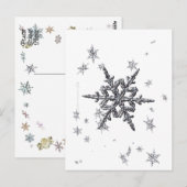 Snowflake Briefkaart (Voorkant / Achterkant)