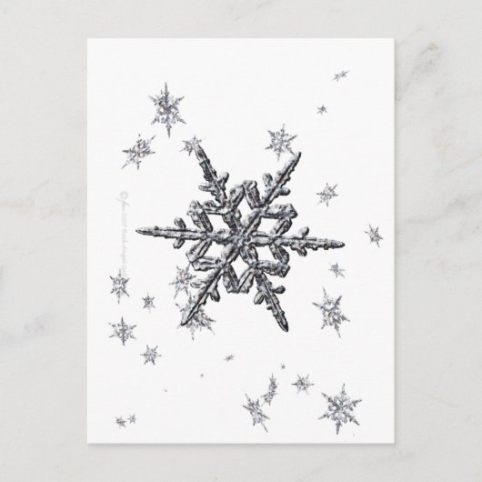Snowflake Briefkaart (Voorkant)