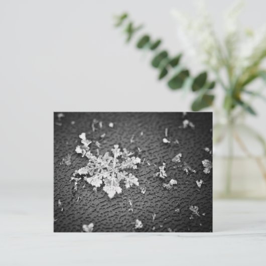 Snowflake Briefkaart (Staand voorkant)