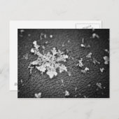 Snowflake Briefkaart (Voorkant / Achterkant)