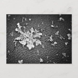Snowflake Briefkaart