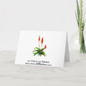 Snowflake cactus vakantie wenskaart feestdagen kaart (Achterkant)