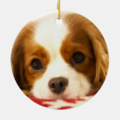 Snowflake Cavalier King Charles Spaniel Ornament (Achterkant)