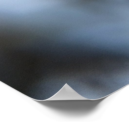 Snowflake Closeup Poster (Hoek)