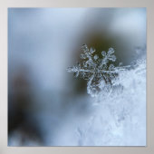 Snowflake Closeup Poster (Voorkant)