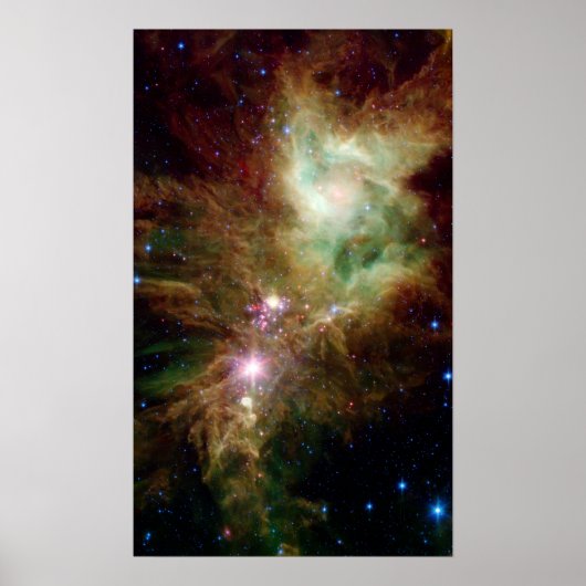 Snowflake-cluster en kone-nebula poster (Voorkant)
