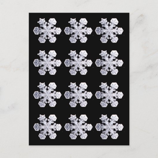 Snowflake Crystal Photos Briefkaart (Voorkant)
