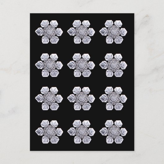 Snowflake Crystal Photos Briefkaart (Voorkant)