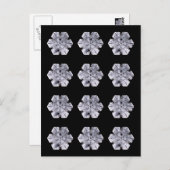 Snowflake Crystal Photos Briefkaart (Voorkant / Achterkant)