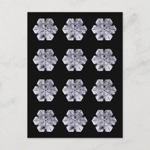Snowflake Crystal Photos Briefkaart