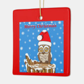 Snowflake de Owl met Kerstmis Keramisch Ornament (Links)