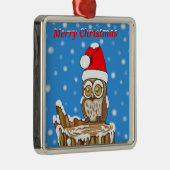 Snowflake de Owl met Kerstmis Metalen Ornament (Rechts)
