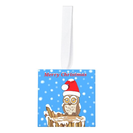 Snowflake de Owl met Kerstmis Ornament (Voorkant)