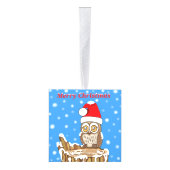 Snowflake de Owl met Kerstmis Ornament (Rechts)