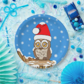 Snowflake de Owl met Kerstmis Papieren Bordje (Feest)