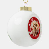 Snowflake Dog Photo Ornament with Tree Backside (Links)