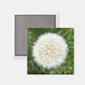 Snowflake dry dandelion magneet (Voorkant / Achterkant)