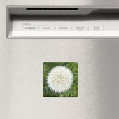 Snowflake dry dandelion magneet (Insitu (Vaatwasser))
