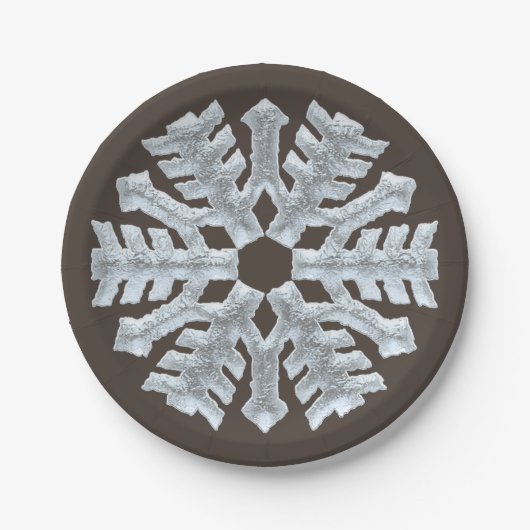 Snowflake Elegant Brown Natuur Kerstmis, bevroren Papieren Bordje (Voorkant)