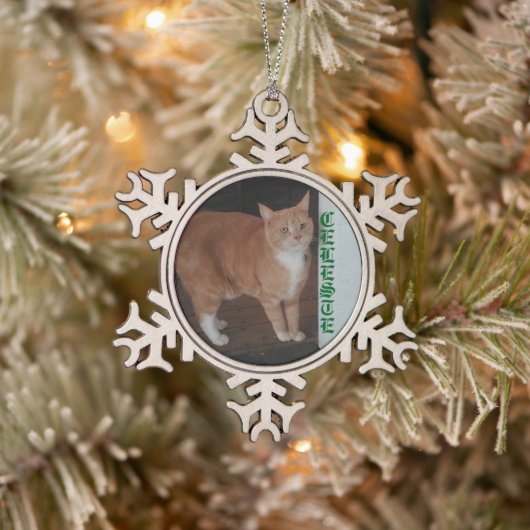 Snowflake Framed Cat Ornament (Boom)