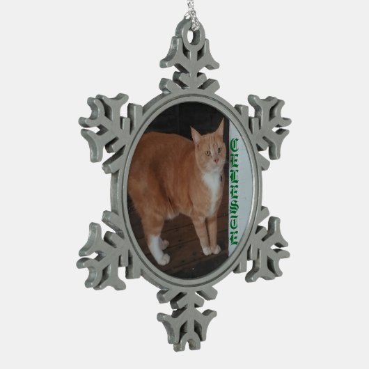 Snowflake Framed Cat Ornament (Links)