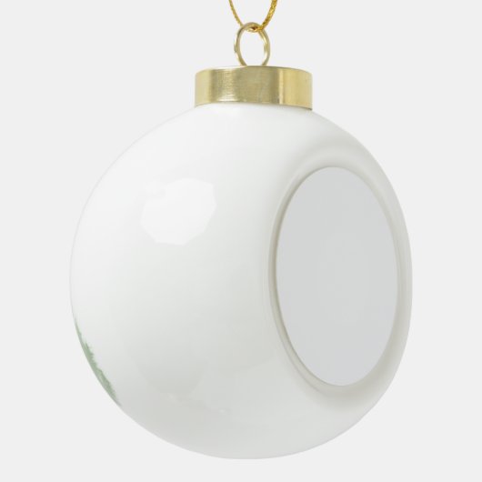 Snowflake Framed Ornament (Links)