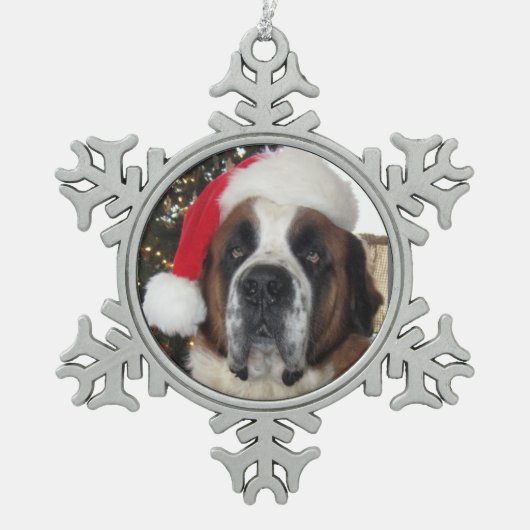 Snowflake Framed Ornament (Voorkant)
