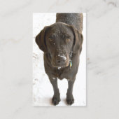 Snowflake geprinte chocolade labrador Retriever Visitekaartje (Voorkant)