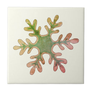 Snowflake Green Red Winter Holiday Kerstmis Tegeltje