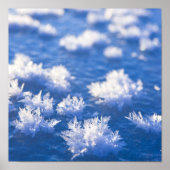 Snowflake Ice Poster (Voorkant)