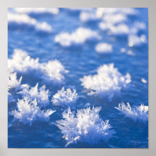 Snowflake Ice Poster